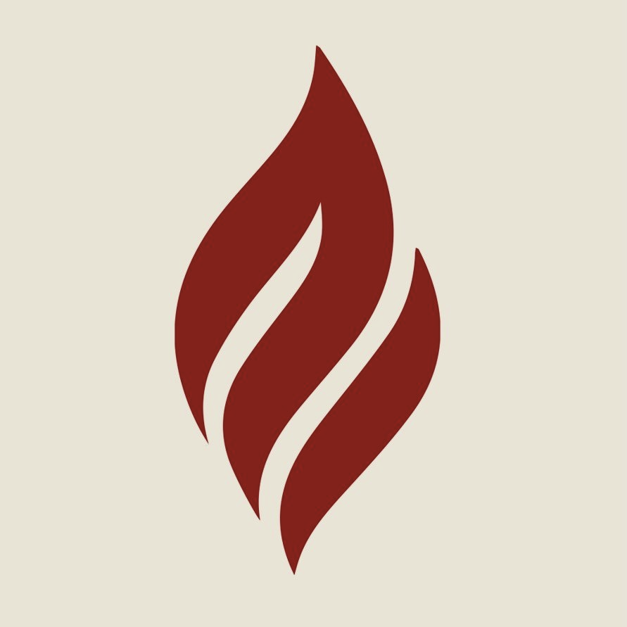 Logo de Vida y Fuego